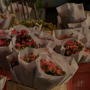 !脱👙让学生C🐻
